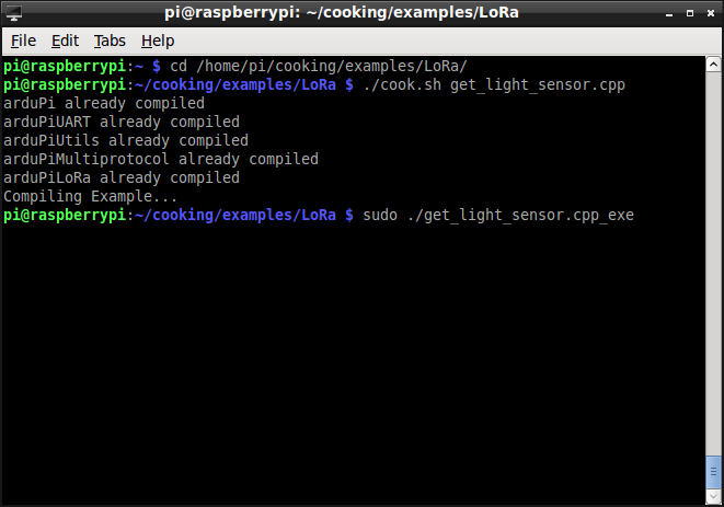 Raspberry Pi 2 cook_and_execute